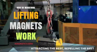 Exploring the Power of Industrial Lifting Magnets: A Comprehensive Guide