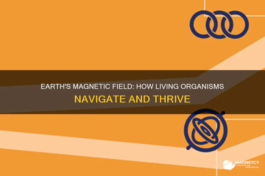 how do living organisms use earth
