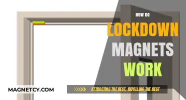 Understanding Lockdown Magnets: A Comprehensive Guide to Their Functionality