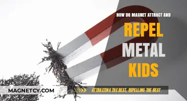 Magnet Magic: How Magnets Attract and Repel Metal for Kids