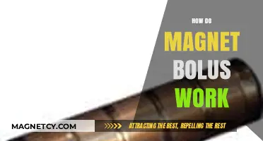 Understanding Magnet Bolus: A Comprehensive Guide to Their Functionality