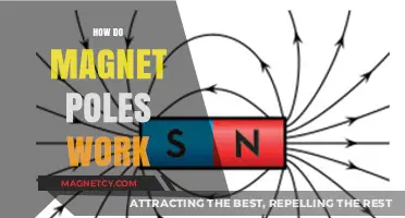 Exploring the Fundamentals: How Magnet Poles Operate