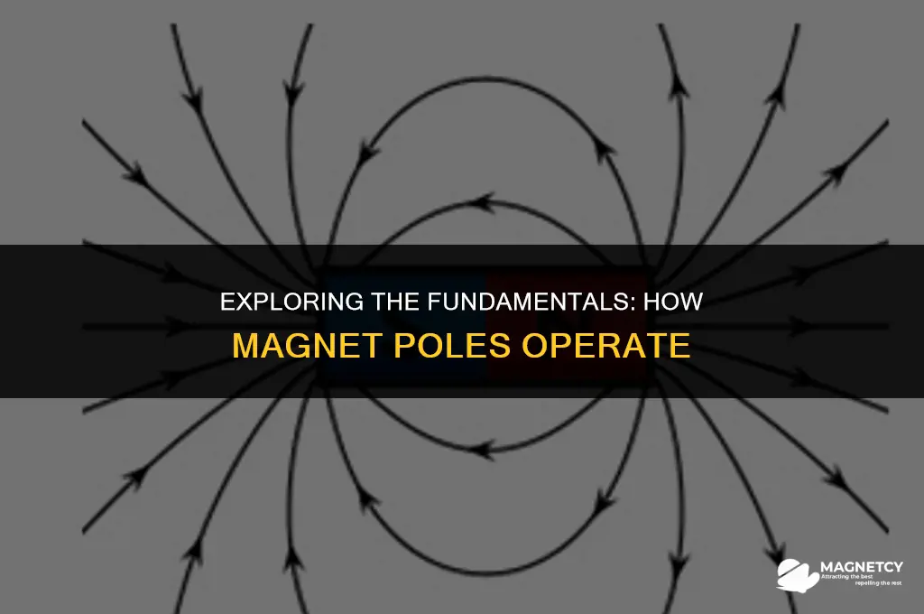 how do magnet poles work