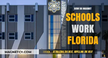 Exploring Florida's Magnet Schools: How They Work and Benefits