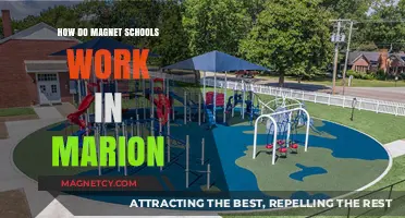 Exploring Magnet Schools in Marion: A Comprehensive Guide
