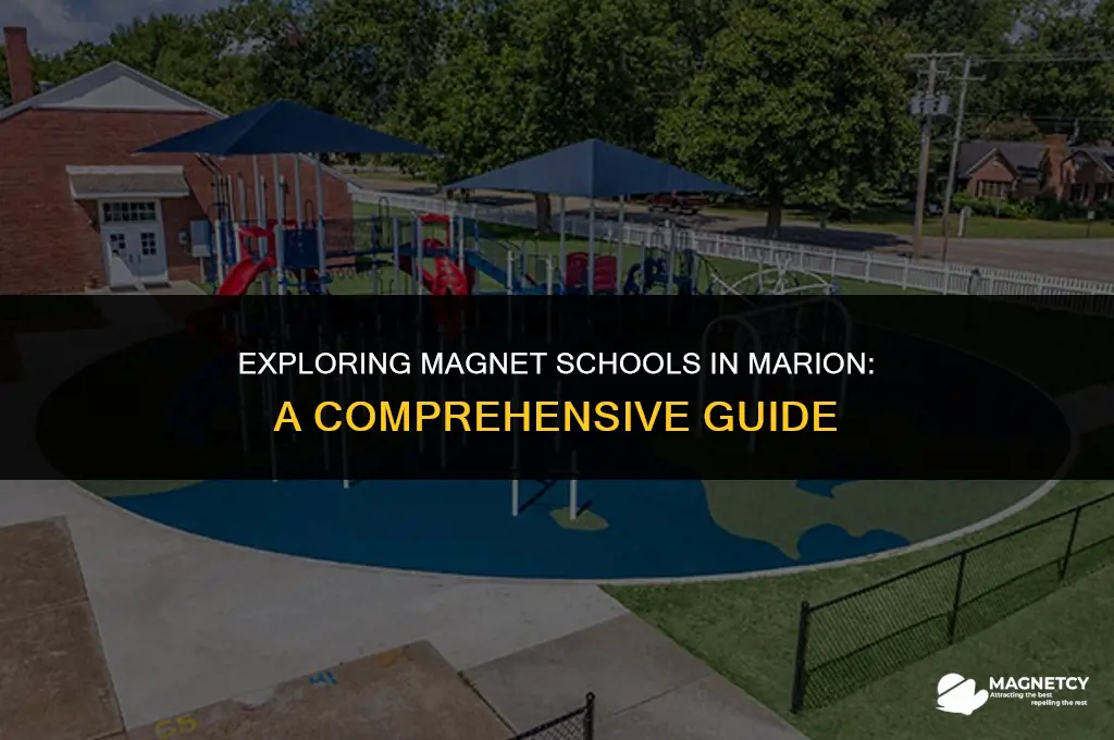 how do magnet schools work in marion