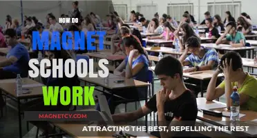 Exploring Magnet Schools: How They Work and Benefits They Offer
