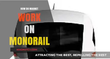 Exploring the Magnetic Magic Behind Monorail Systems