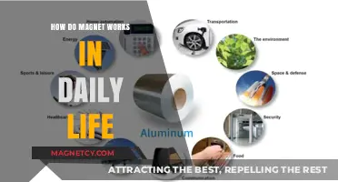 Exploring the Invisible Force: How Magnets Shape Our Daily Lives