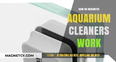 Exploring the Science Behind Magnetic Aquarium Cleaners