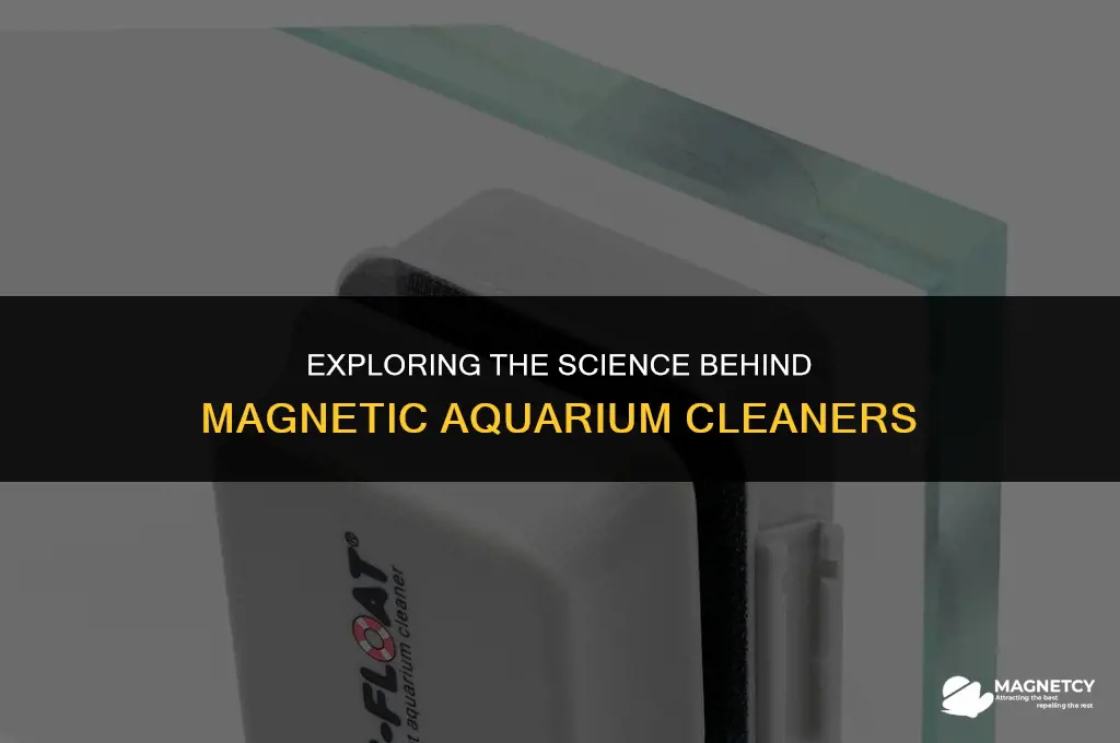 how do magnetic aquarium cleaners work