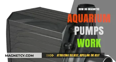 Understanding the Mechanics of Magnetic Aquarium Pumps