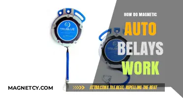Understanding Magnetic Auto Belays: A Comprehensive Guide