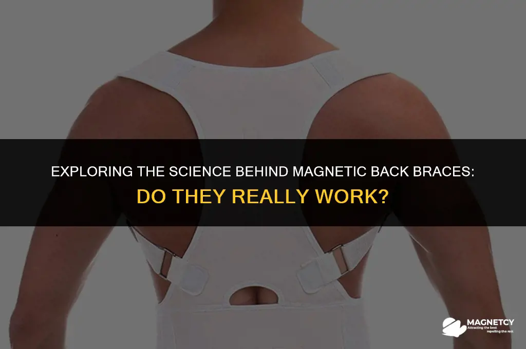 how do magnetic back braces work