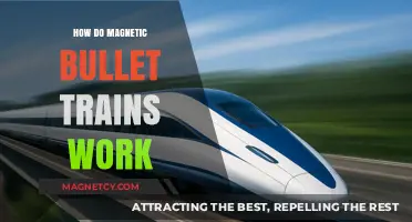 Exploring the Science Behind Magnetic Bullet Trains