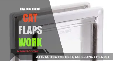 The Purr-fect Entry: Understanding Magnetic Cat Flaps