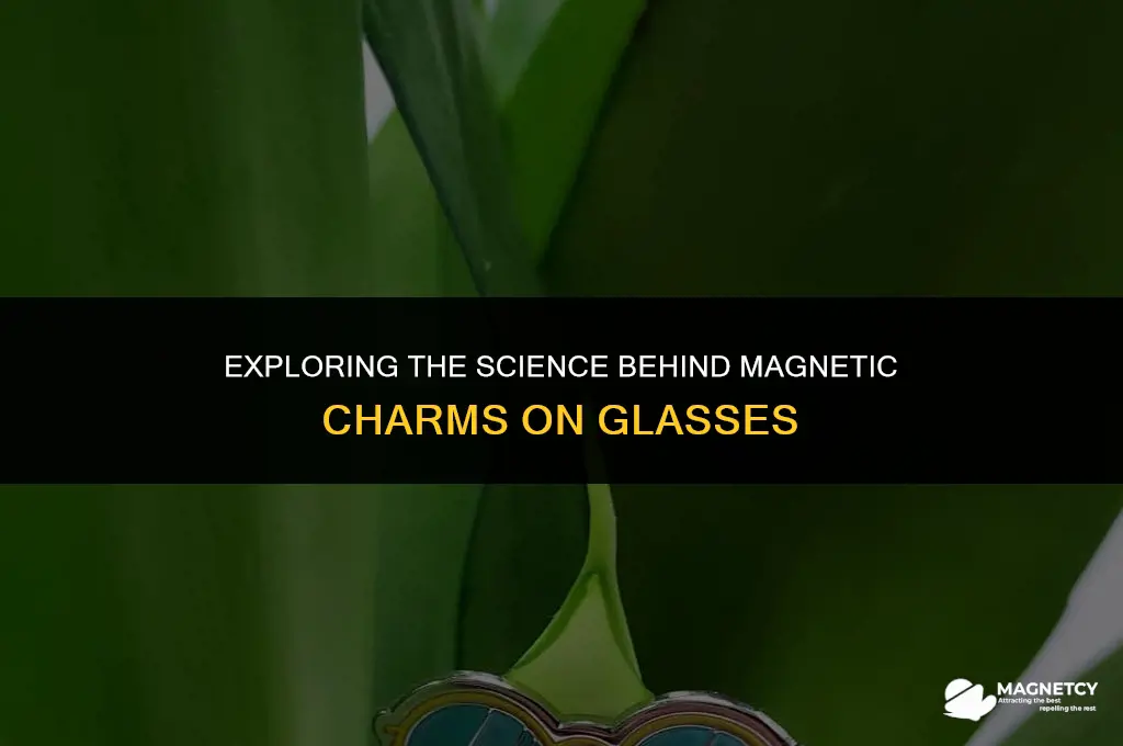 how do magnetic charms work on glasses