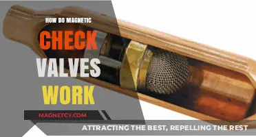 Understanding Magnetic Check Valves: A Comprehensive Guide