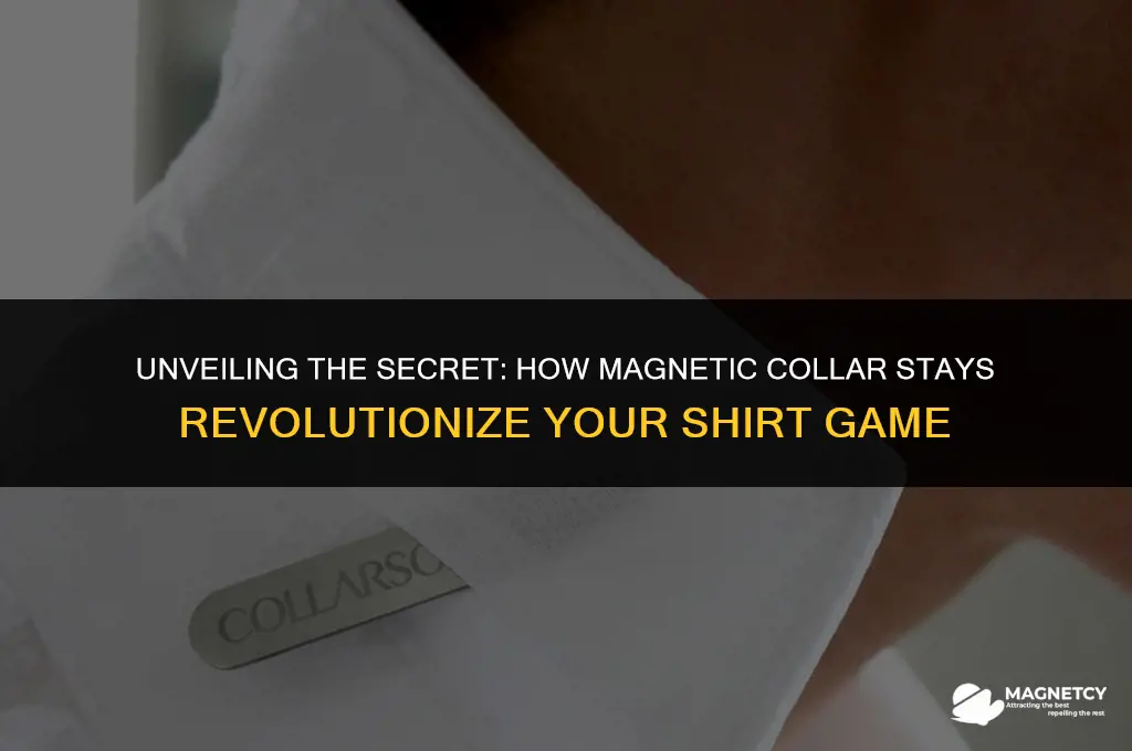 how do magnetic collar stays work
