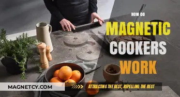 Exploring the Science Behind Magnetic Induction Cookers