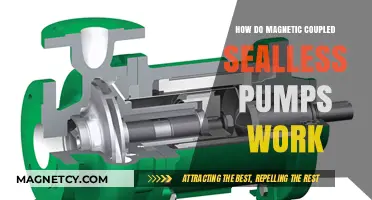 Exploring the Mechanics of Magnetic Coupled Sealless Pumps