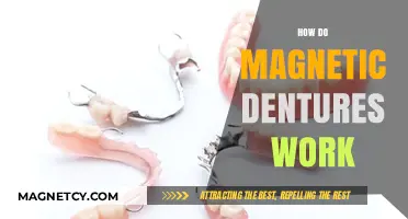 Exploring the Science Behind Magnetic Dentures: A Comprehensive Guide