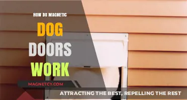 Understanding Magnetic Dog Doors: A Comprehensive Guide
