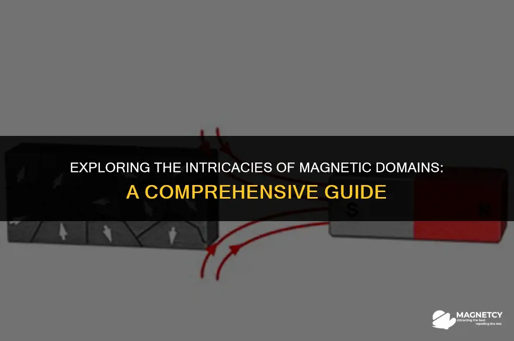 how do magnetic domains work