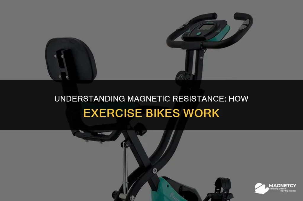 how do magnetic exercise bikes work