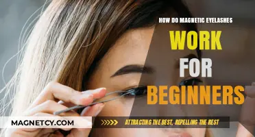 Understanding Magnetic Eyelashes: A Beginner's Guide to Easy Application