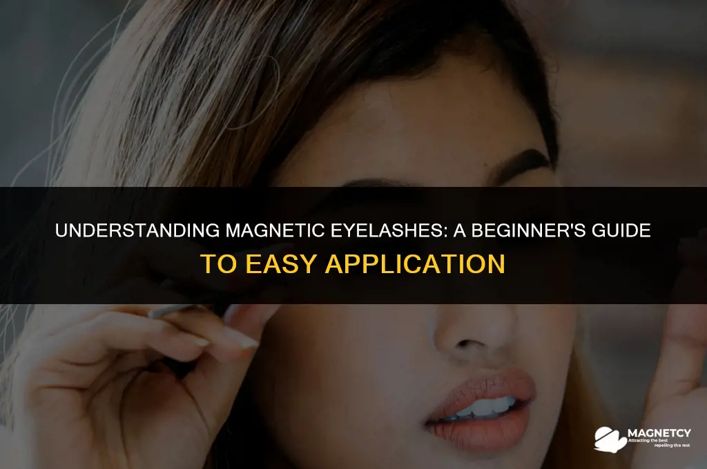 how do magnetic eyelashes work for beginners