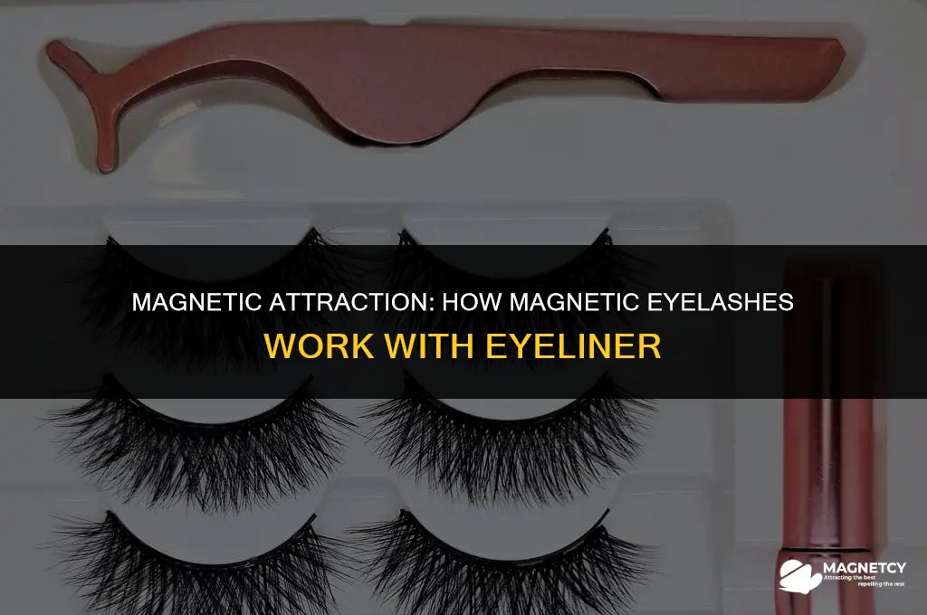 how do magnetic eyelashes work with eyeliner