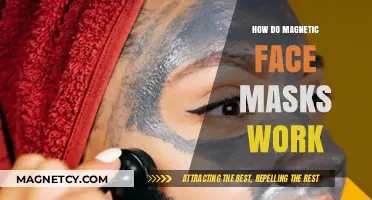 Unveiling the Science Behind Magnetic Face Masks: A Comprehensive Guide