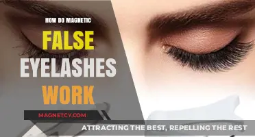 Understanding Magnetic False Eyelashes: A Comprehensive Guide