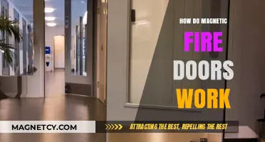 Understanding Magnetic Fire Doors: A Comprehensive Guide