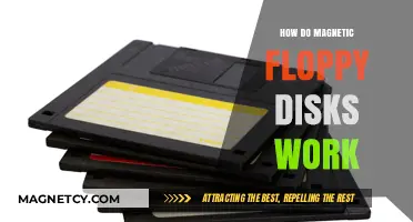 Exploring the Inner Workings of Magnetic Floppy Disks