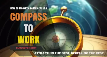 Unlocking the Mystery: How Magnetic Forces Guide a Compass