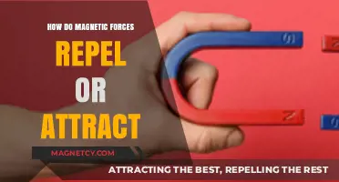 Understanding Magnetic Forces: The Science Behind Attraction and Repulsion