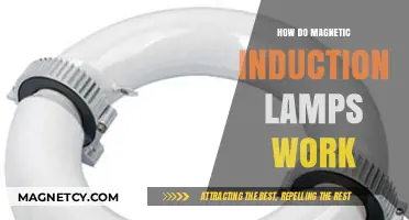 Unveiling the Mysteries of Magnetic Induction Lamps: A Comprehensive Guide