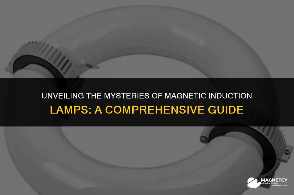 how do magnetic induction lamps work