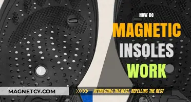 Exploring the Science Behind Magnetic Insoles: Do They Really Work?