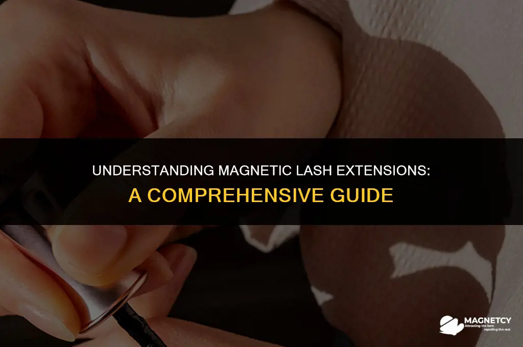 how do magnetic lash extensions work