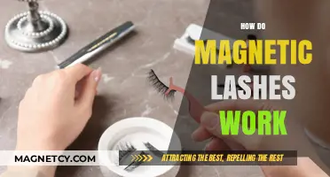 Exploring the Science Behind Magnetic Lashes: How They Work