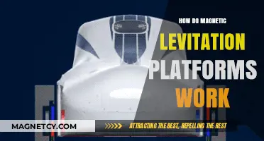 Exploring the Science Behind Magnetic Levitation Platforms