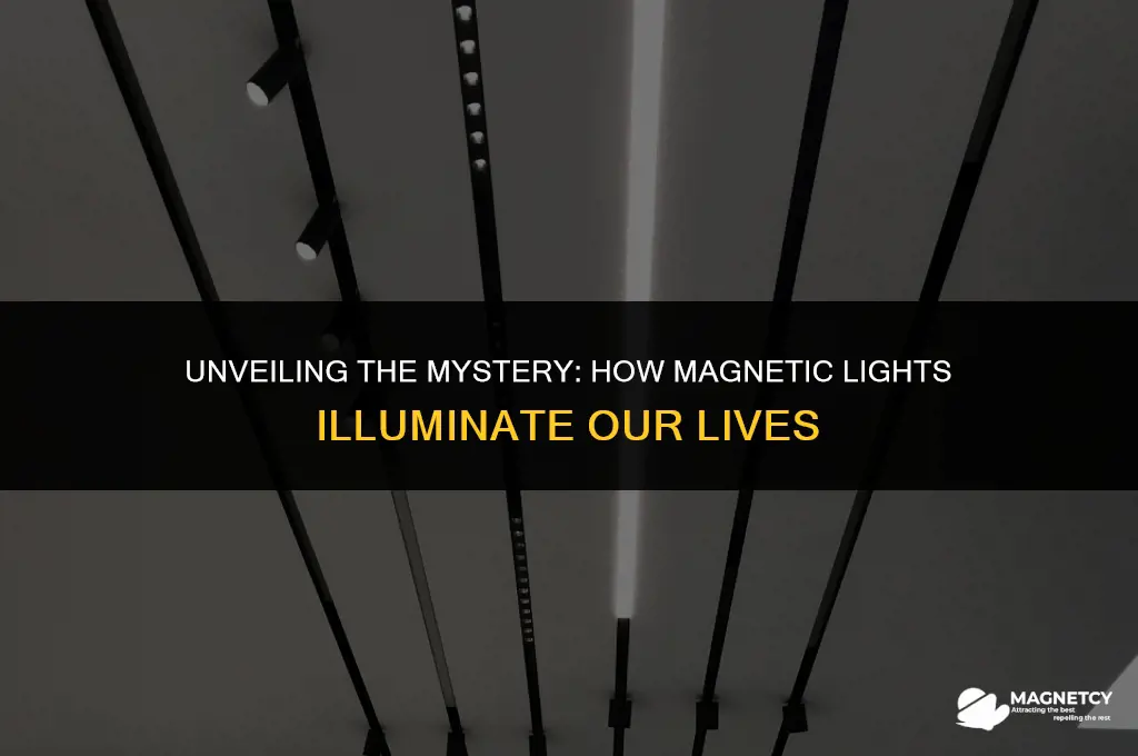 how do magnetic lights work