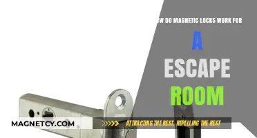 Unveiling the Mystery: How Magnetic Locks Enhance Escape Room Challenges