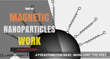 Unlocking the Mysteries of Magnetic Nanoparticles: A Deep Dive