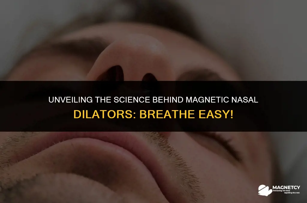 how do magnetic nasal dilators work
