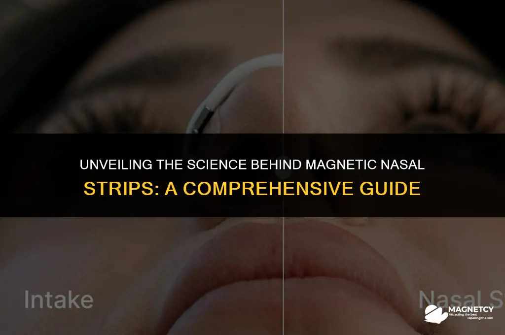 how do magnetic nasal strips work