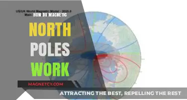 Exploring the Mysteries of Earth's Magnetic North Pole